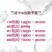 ヒメ日記 2025/09/18 01:01 投稿 れいな 僕らのぽっちゃリーノin大宮