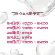 ヒメ日記 2025/09/24 09:01 投稿 れいな 僕らのぽっちゃリーノin大宮