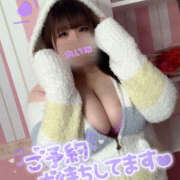 ヒメ日記 2025/03/30 13:40 投稿 れいな 僕らのぽっちゃリーノin野田