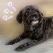 ヒメ日記 2025/07/16 01:30 投稿 れいな 僕らのぽっちゃリーノin野田