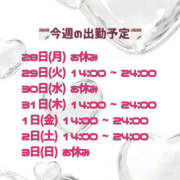 ヒメ日記 2025/07/28 17:20 投稿 れいな 僕らのぽっちゃリーノin野田