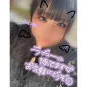 ヒメ日記 2025/08/11 16:40 投稿 れいな 僕らのぽっちゃリーノin野田