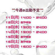 ヒメ日記 2025/08/11 18:20 投稿 れいな 僕らのぽっちゃリーノin野田