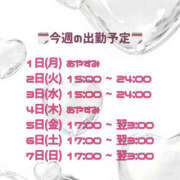 ヒメ日記 2025/09/02 23:30 投稿 れいな 僕らのぽっちゃリーノin野田