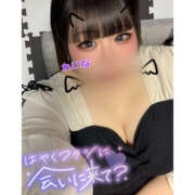 ヒメ日記 2025/07/16 14:50 投稿 れいな 僕らのぽっちゃリーノin春日部