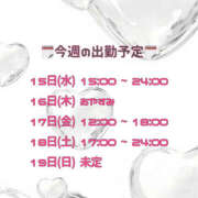 ヒメ日記 2025/10/15 00:16 投稿 れいな 僕らのぽっちゃリーノin春日部