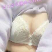 ヒメ日記 2024/12/17 09:39 投稿 滝沢　きらり 新潟市鳥屋野潟ちゃんこ