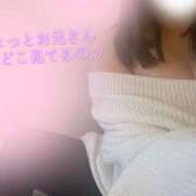 ヒメ日記 2024/12/17 22:36 投稿 滝沢　きらり 新潟市鳥屋野潟ちゃんこ