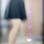 ヒメ日記 2025/01/13 12:26 投稿 滝沢　きらり 新潟市鳥屋野潟ちゃんこ