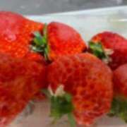 ヒメ日記 2025/02/18 00:06 投稿 滝沢　きらり 新潟市鳥屋野潟ちゃんこ