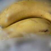 ヒメ日記 2025/03/11 08:36 投稿 滝沢　きらり 新潟市鳥屋野潟ちゃんこ