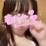 ヒメ日記 2025/03/11 22:16 投稿 滝沢　きらり 新潟市鳥屋野潟ちゃんこ