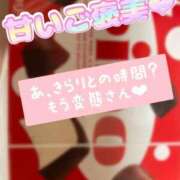ヒメ日記 2025/03/15 14:06 投稿 滝沢　きらり 新潟市鳥屋野潟ちゃんこ