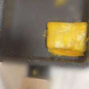 ヒメ日記 2025/03/15 14:19 投稿 滝沢　きらり 新潟市鳥屋野潟ちゃんこ