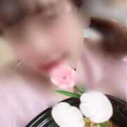 ヒメ日記 2025/03/15 14:26 投稿 滝沢　きらり 新潟市鳥屋野潟ちゃんこ