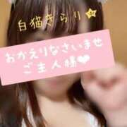 ヒメ日記 2025/03/26 22:16 投稿 滝沢　きらり 新潟市鳥屋野潟ちゃんこ