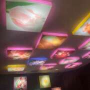 ヒメ日記 2025/05/25 22:36 投稿 滝沢　きらり 新潟市鳥屋野潟ちゃんこ