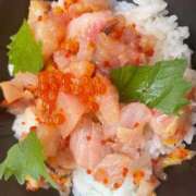 ヒメ日記 2025/07/25 14:36 投稿 滝沢　きらり 新潟市鳥屋野潟ちゃんこ