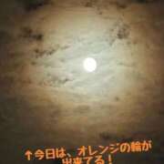 ヒメ日記 2025/11/06 22:40 投稿 滝沢　きらり 新潟市鳥屋野潟ちゃんこ