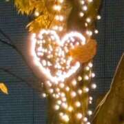 ヒメ日記 2025/11/15 08:16 投稿 滝沢　きらり 新潟市鳥屋野潟ちゃんこ