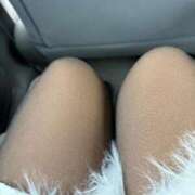 ヒメ日記 2025/12/22 10:48 投稿 滝沢　きらり 新潟市鳥屋野潟ちゃんこ