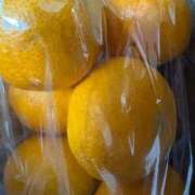 ヒメ日記 2026/01/17 19:46 投稿 滝沢　きらり 新潟市鳥屋野潟ちゃんこ