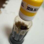 ヒメ日記 2026/01/31 19:26 投稿 滝沢　きらり 新潟市鳥屋野潟ちゃんこ