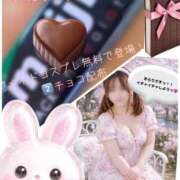 ヒメ日記 2026/02/21 07:56 投稿 滝沢　きらり 新潟市鳥屋野潟ちゃんこ