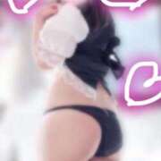 ヒメ日記 2026/02/24 11:26 投稿 滝沢　きらり 新潟市鳥屋野潟ちゃんこ