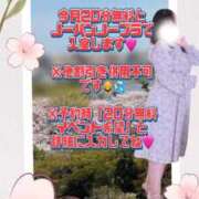 ヒメ日記 2026/04/12 13:26 投稿 滝沢　きらり 新潟市鳥屋野潟ちゃんこ