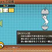 ヒメ日記 2026/05/11 07:28 投稿 滝沢　きらり 新潟市鳥屋野潟ちゃんこ