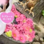 ヒメ日記 2026/06/13 18:56 投稿 滝沢　きらり 新潟市鳥屋野潟ちゃんこ