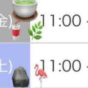 ヒメ日記 2026/07/15 08:46 投稿 滝沢　きらり 新潟市鳥屋野潟ちゃんこ