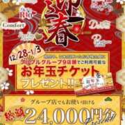 ヒメ日記 2024/12/28 15:38 投稿 長濱 みつり プルプルハウス