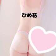 ヒメ日記 2024/12/23 10:15 投稿 ひめ花 ドMな奥様 京都店