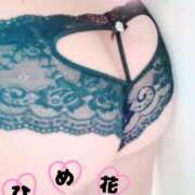 ヒメ日記 2024/12/27 10:06 投稿 ひめ花 ドMな奥様 京都店