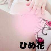 ヒメ日記 2025/02/03 08:30 投稿 ひめ花 ドMな奥様 京都店