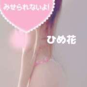 ヒメ日記 2025/02/05 09:34 投稿 ひめ花 ドMな奥様 京都店