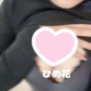 ヒメ日記 2025/03/17 14:14 投稿 ひめ花 ドMな奥様 京都店