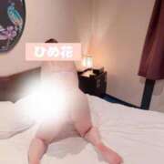 ヒメ日記 2025/04/08 23:23 投稿 ひめ花 ドMな奥様 京都店