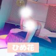 ヒメ日記 2025/05/20 00:46 投稿 ひめ花 ドMな奥様 京都店