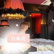 ヒメ日記 2025/08/18 20:44 投稿 ひめ花 ドMな奥様 京都店