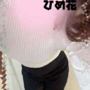 ヒメ日記 2026/01/27 10:07 投稿 ひめ花 ドMな奥様 京都店