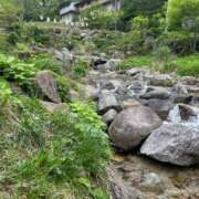 ヒメ日記 2026/05/22 10:48 投稿 ひめ花 ドMな奥様 京都店