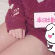 ヒメ日記 2025/02/04 17:02 投稿 ひいろ 21世紀