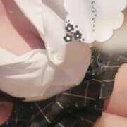 ヒメ日記 2025/05/14 17:31 投稿 ひいろ 21世紀