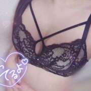 ヒメ日記 2025/07/30 08:21 投稿 ひいろ 21世紀