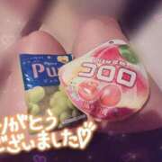 ヒメ日記 2025/07/30 17:34 投稿 ひいろ 21世紀