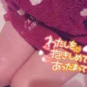 ヒメ日記 2025/11/11 16:17 投稿 ひいろ 21世紀