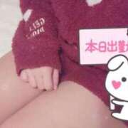 ヒメ日記 2026/02/01 09:31 投稿 ひいろ 21世紀